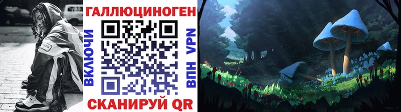 Псилоцибиновые грибы Psilocybine cubensis  Медвежьегорск 