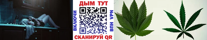 Канабис гибрид  Медвежьегорск 